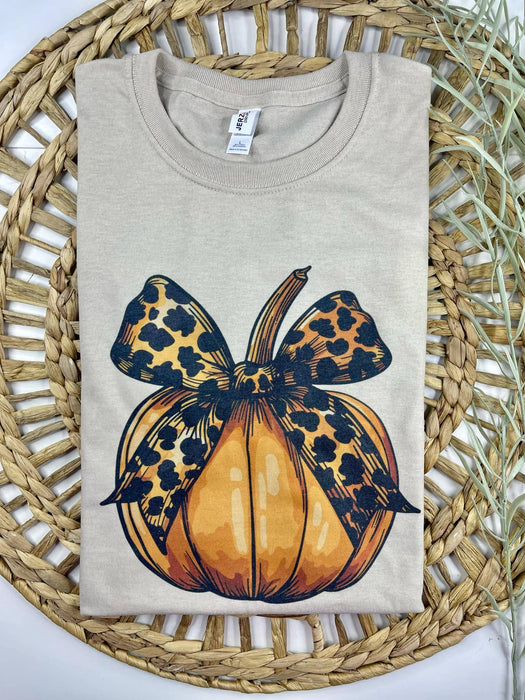 Pumpkin with Bow T-Shirt