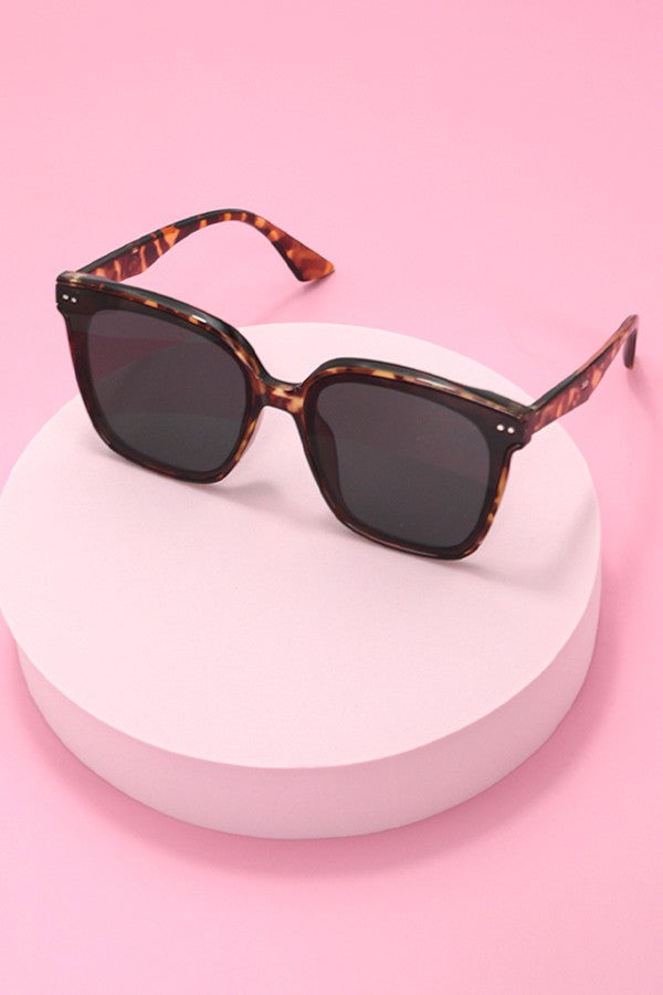 Acetate Square Cateye Sunglasses Set
