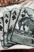 COWBOY BRONC RIDER CARD Sugar & Velvet Collective Wholesale