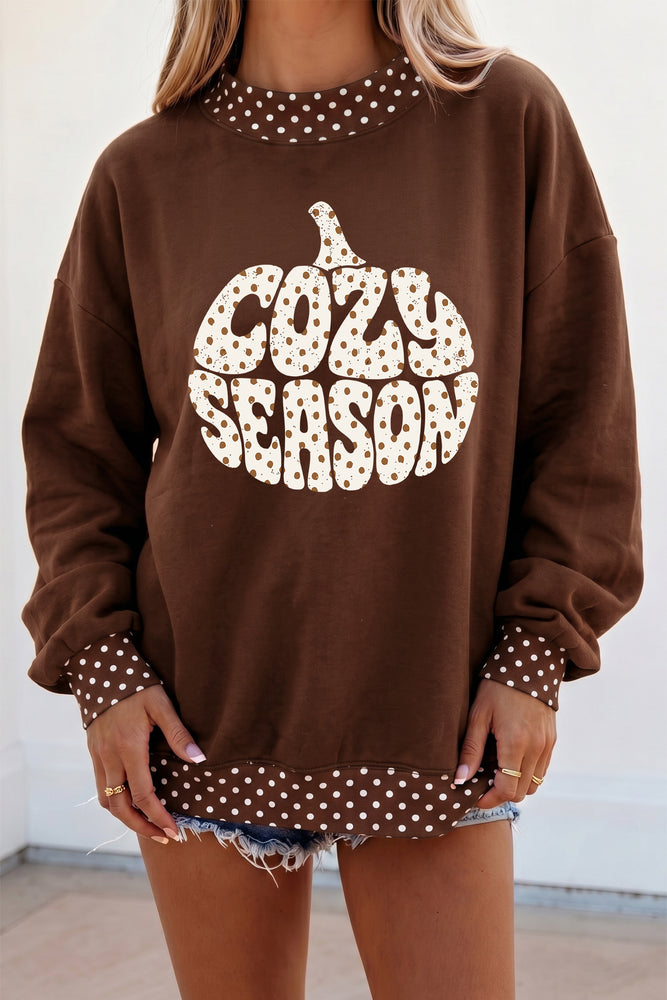 Brown Cozy Season pumpkin sweatshirt view 1