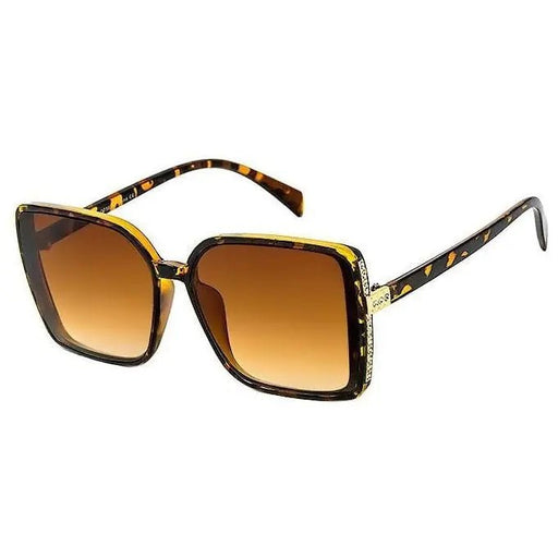 Fashion Plastic Glasses - LECCE