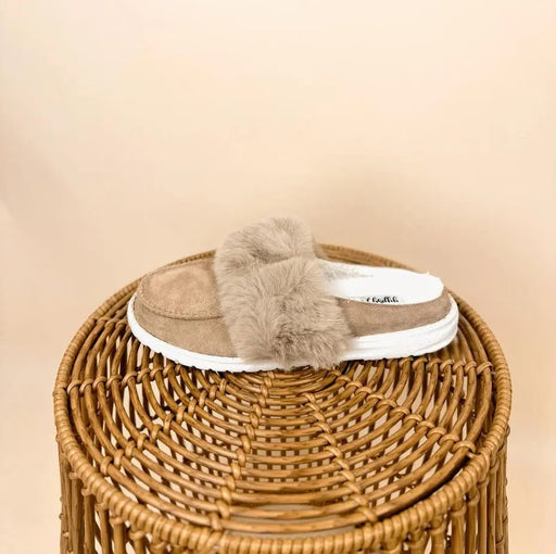 Gypsy Jazz Softie - LECCE