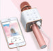 Karaoke Microphone with Power Bank Rose Gold - LECCE