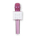 Karaoke Microphone with Power Bank Rose Gold - LECCE