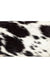 Lone Steer Canyon Wallet - LECCE