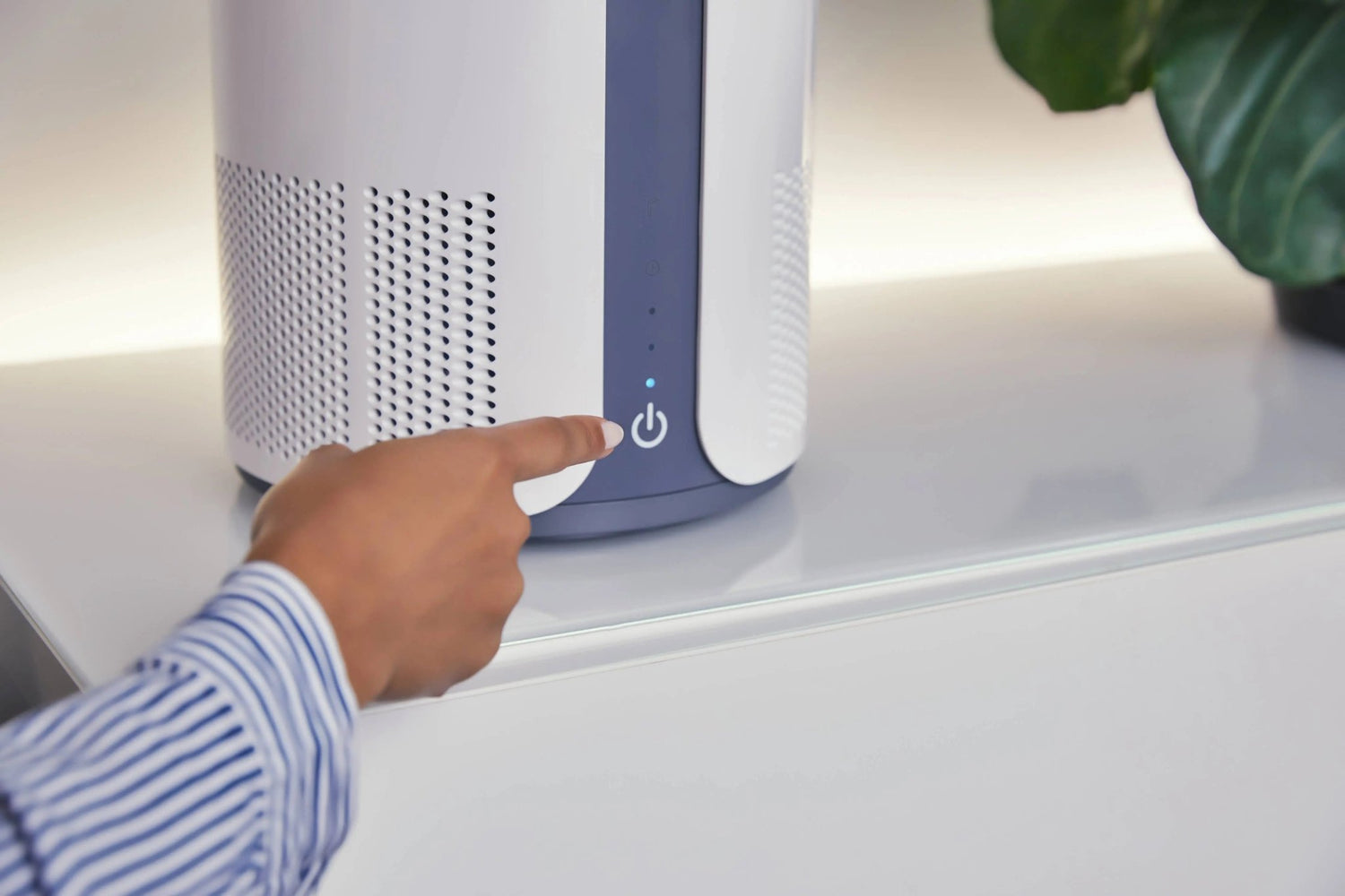 Miko Air Purifier with Essential Oil // Ibuki - LECCE