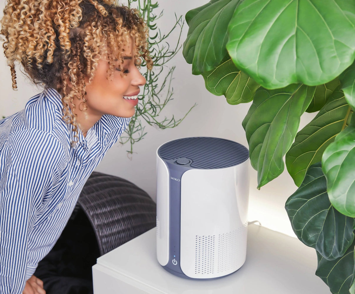 Miko Air Purifier with Essential Oil // Ibuki - LECCE