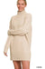 Turtle Neck Long Sleeve Mini Sweater Dress - LECCE