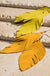 Genuine Leather Leaf Earrings