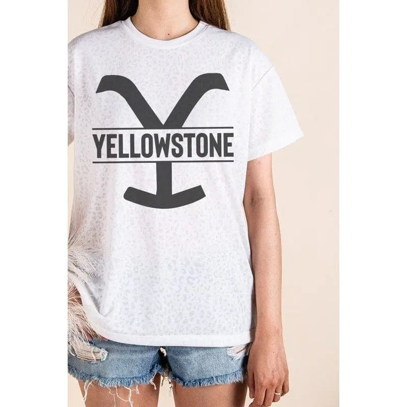 Yellow stone graphic leopard tees 12PM BY MON AMI