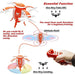 ATTOP W5 Egg Drone Foldable - LECCE