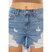 High rise rainbow threads shorts jeans - LECCE